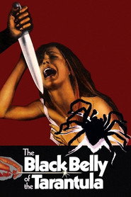 The Black Belly of the Tarantula poster