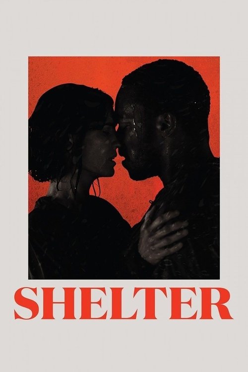 Shelter poster