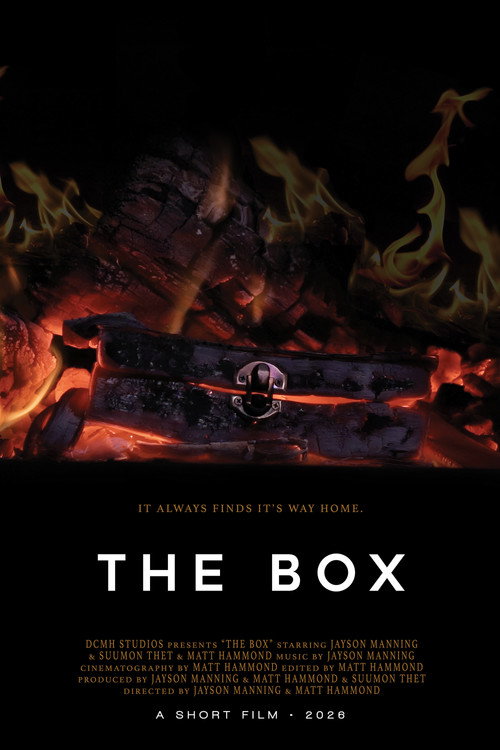 THE BOX poster