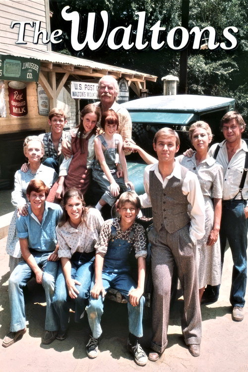 The Waltons poster