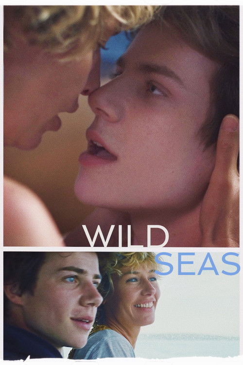Wild Seas poster