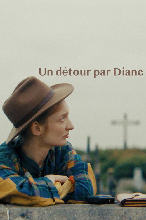 Diane In The Loop poster