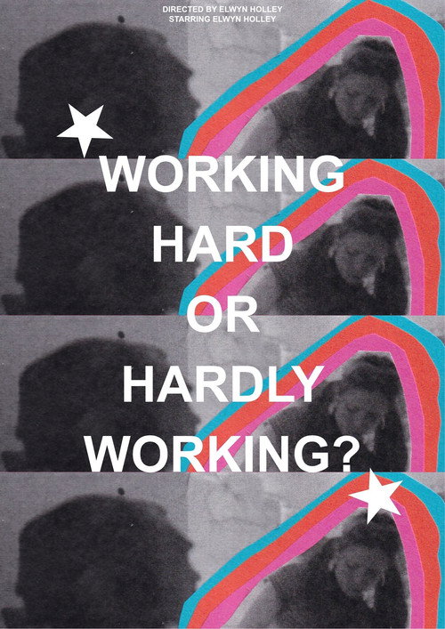 WORKING HARD OR HARDLY WORKING? poster