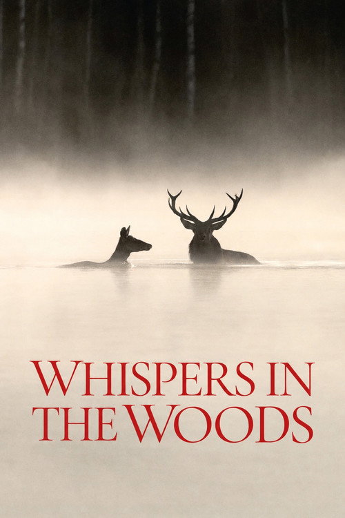 Whispers in the Woods poster