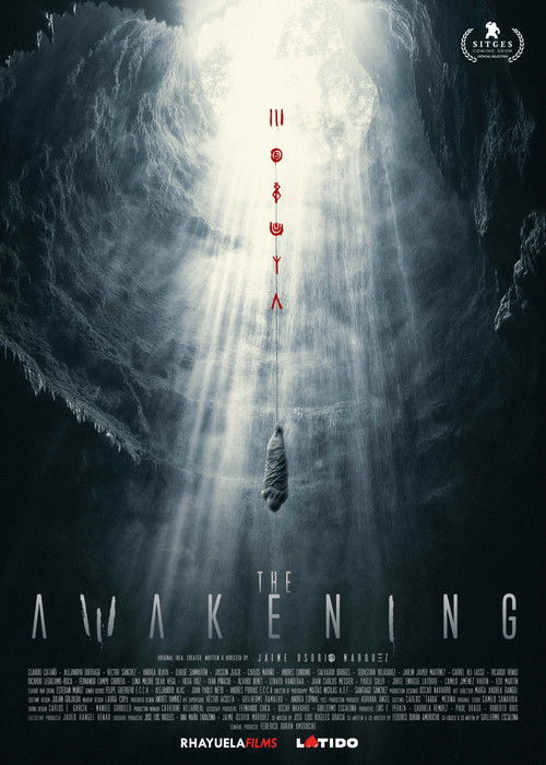 The Awakening poster
