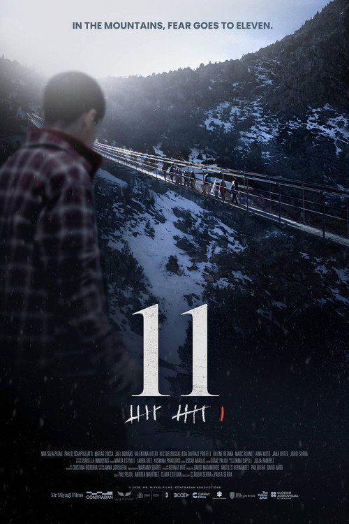 11 poster