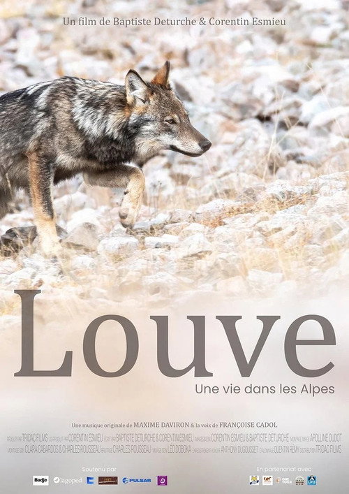 Louve, une vie dans les Alpes poster