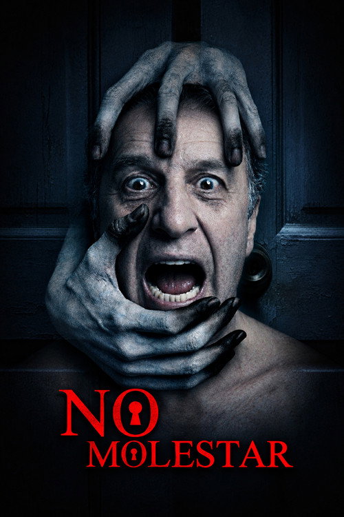 No Molestar poster