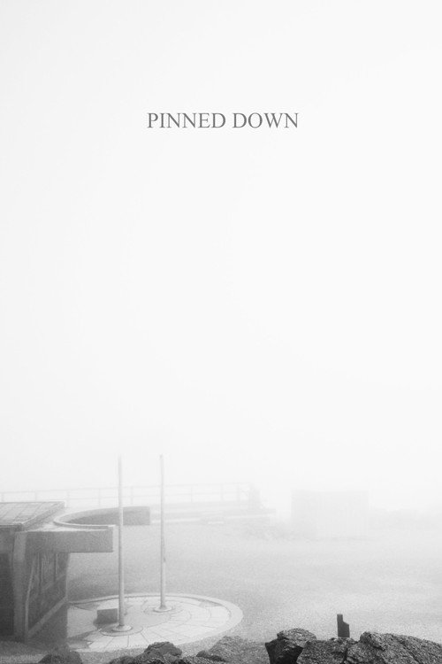 Pinned Down poster