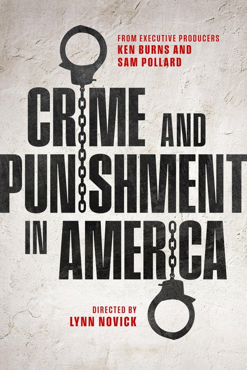 Crime and Punishment in America poster