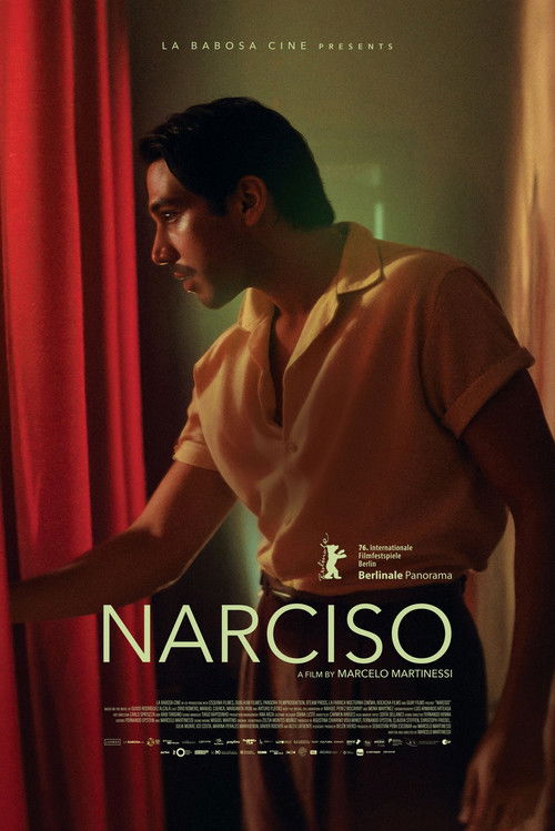 Narciso poster