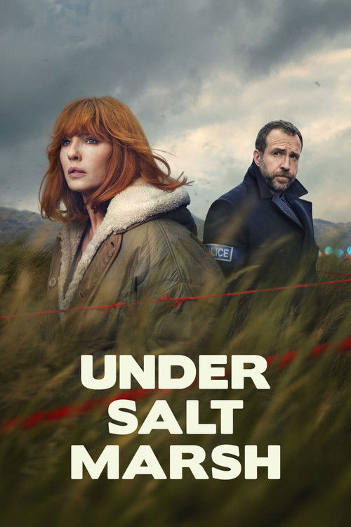 Under Salt Marsh poster