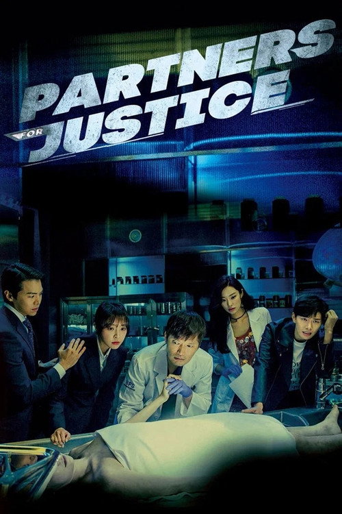 Partners for Justice poster