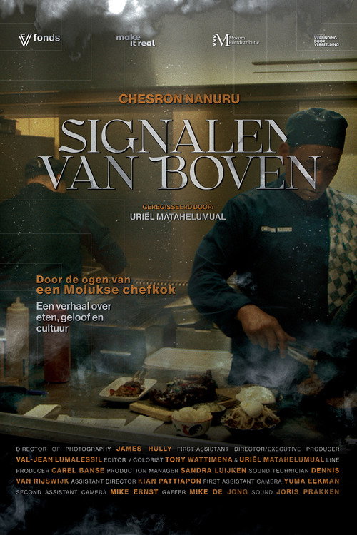 Signalen van boven poster