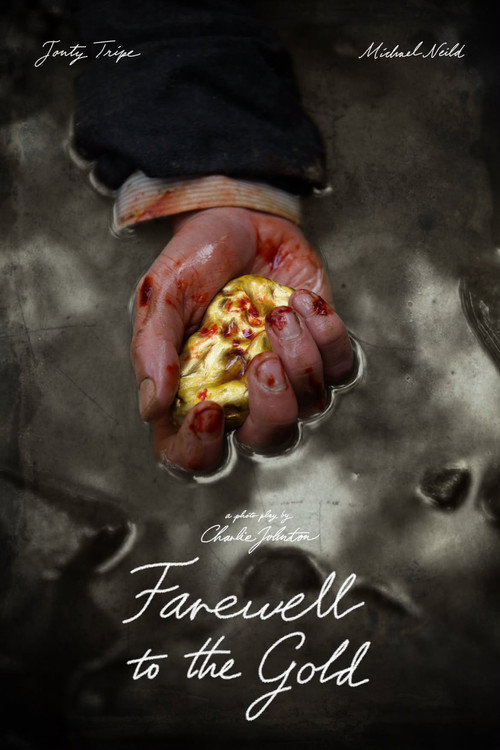 Farewell To The Gold poster