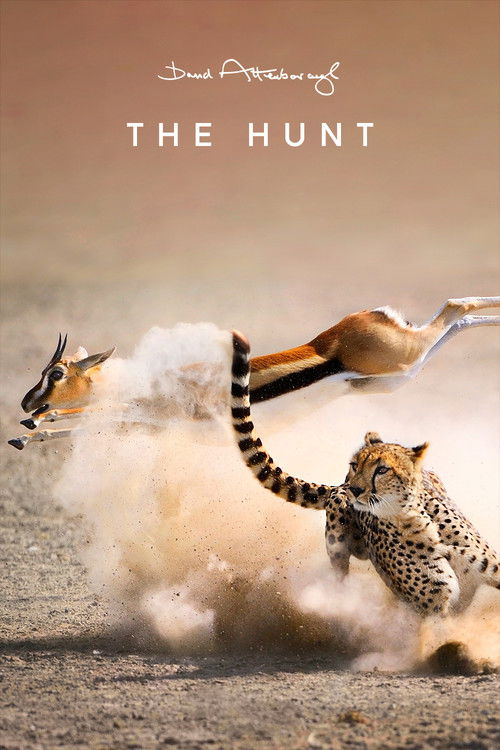 The Hunt poster