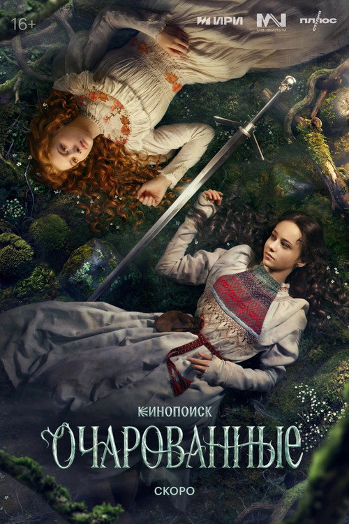 Enchanted poster