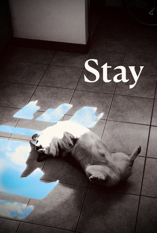 Stay poster