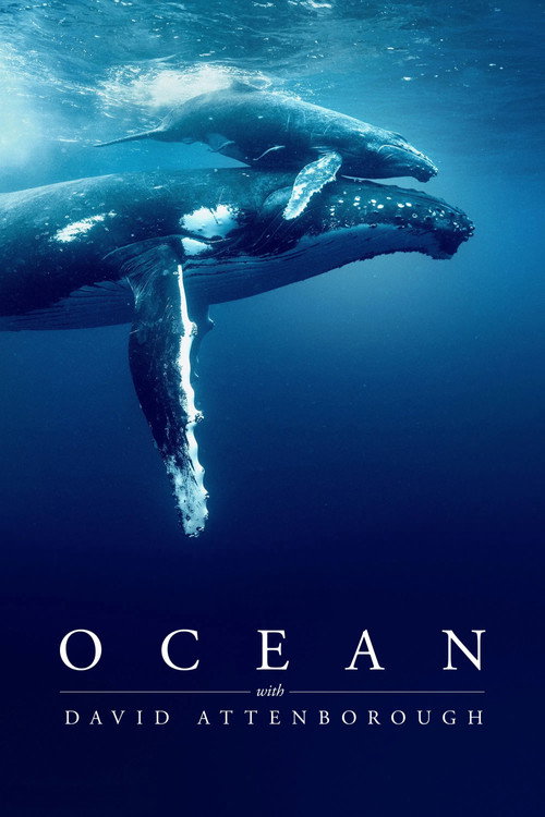 Ocean with David Attenborough poster