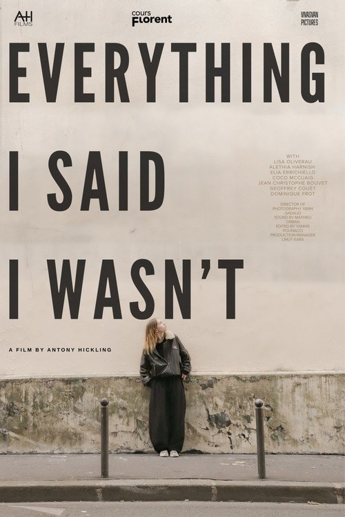 Everything I Said I Wasn't poster