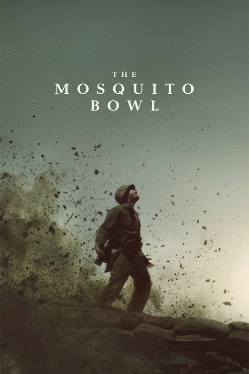 The Mosquito Bowl poster