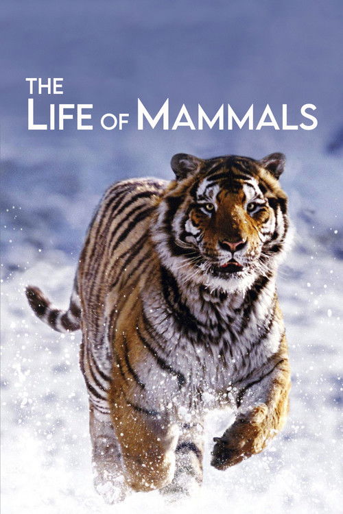 The Life of Mammals poster