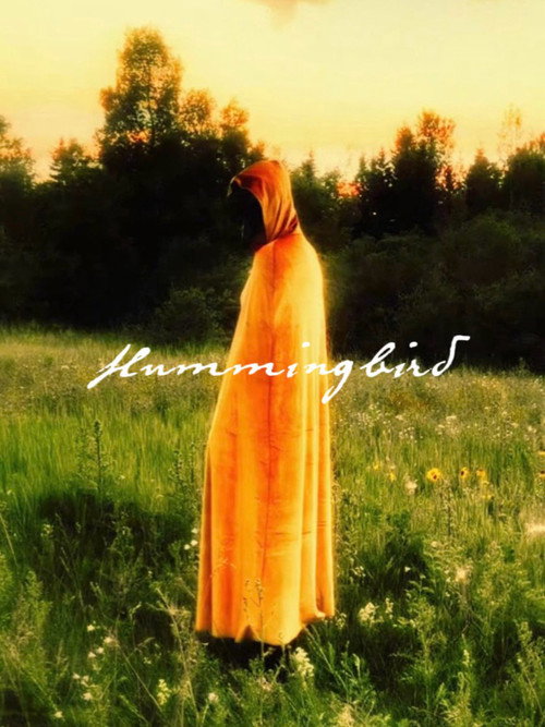 Hummingbird poster