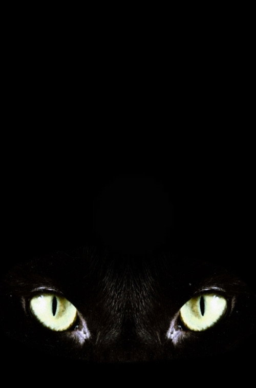 Halloween Claws poster