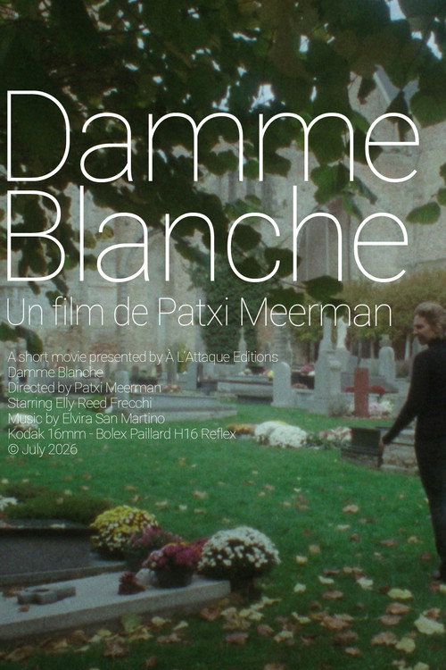 Damme Blanche poster