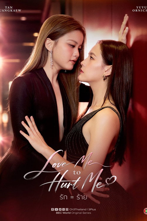 Love Me To Hurt Me poster