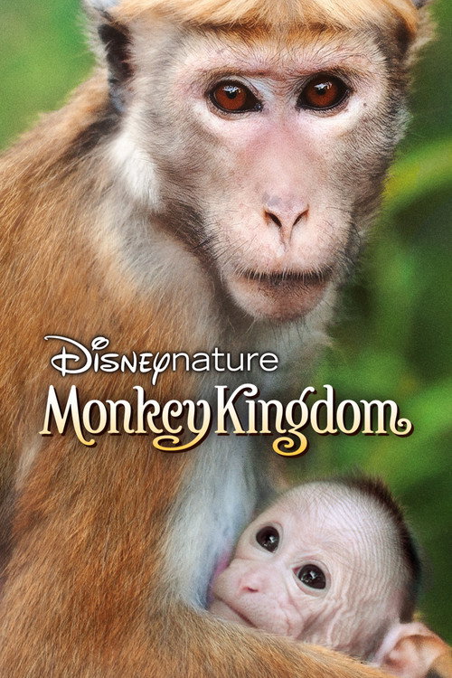 Monkey Kingdom poster