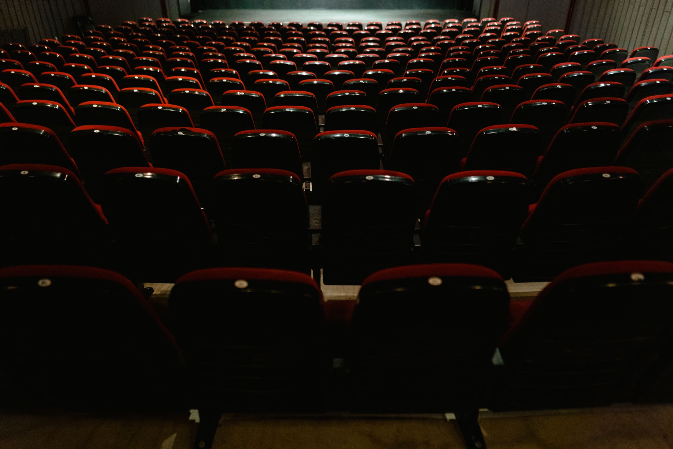 Rows of dark cinema seats edged in red, ready for an audience.